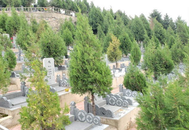 塔山公墓图片