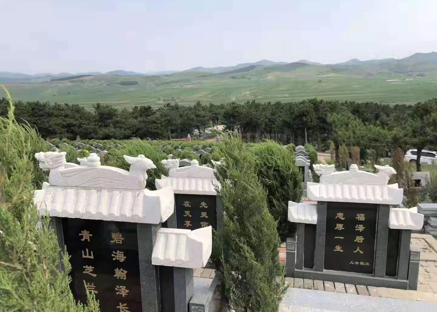 廊坊万桐园公墓墓地图片,廊坊万桐园公墓景观图在线查看_北京陵园网
