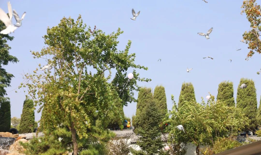 沈阳墓园龙生第二届节地生态草坪葬集体落葬仪式圆满举行