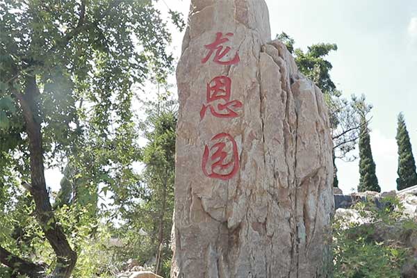 沈阳公墓龙脉宝地葬福源，辽水风光文化园