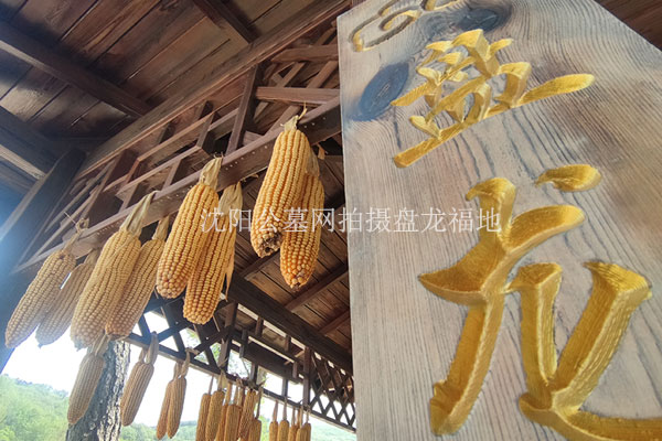 沈阳盘龙山墓园浅谈端午节的由来及习俗