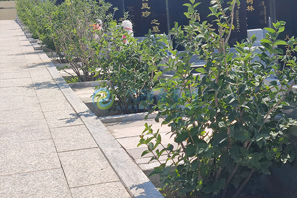 浑南惠民公墓