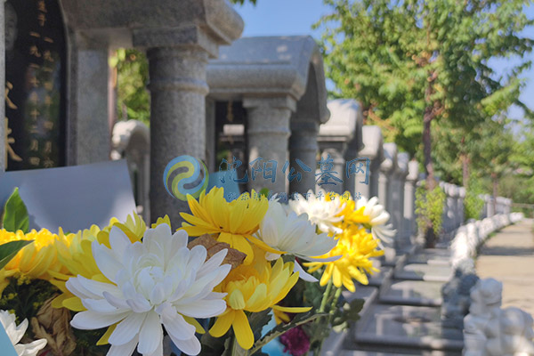 沈阳公墓价格详解：2025年市场行情与选购指南