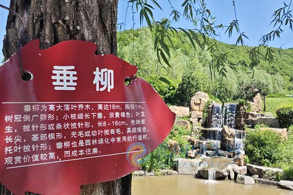 沈阳树葬墓园