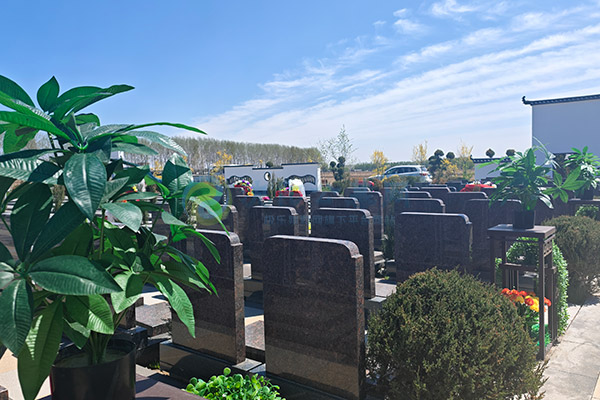 沈阳公墓陵园保险解析：如何为逝者选择保障服务？