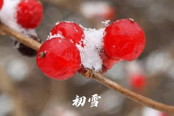 极乐殡葬平台