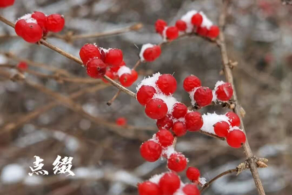 沈阳公墓网