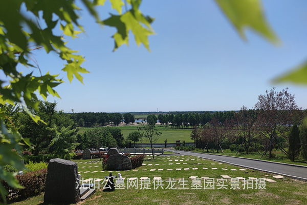 沈阳墓园推荐大全：选龙生墓园，凝望沈城家乡，一站式购墓服务体验！