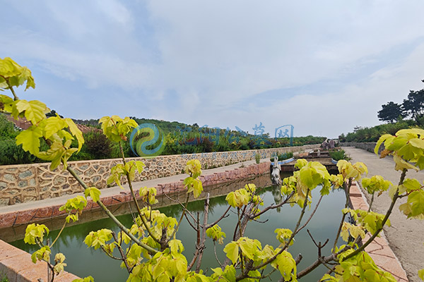 沈阳公墓价格详解：2025年市场行情与选购指南