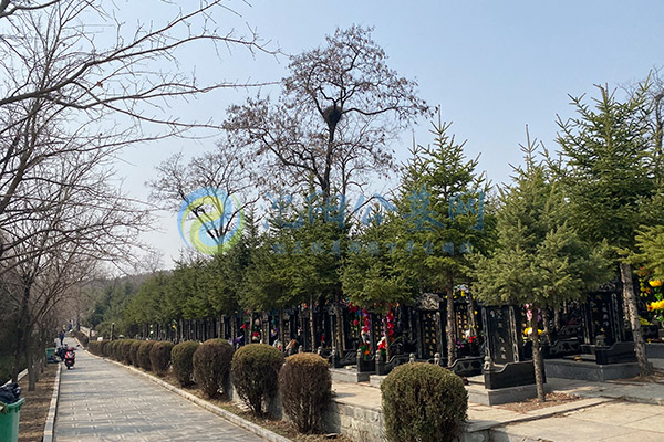 龙泉古园