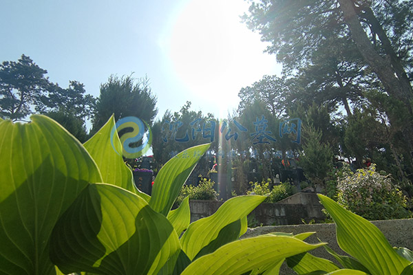 其它经营性公墓