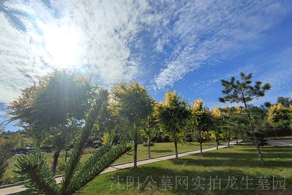 沈阳龙生墓园