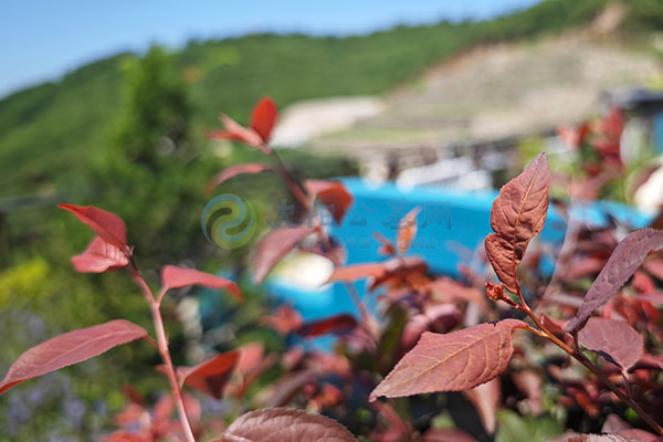 沈阳纪念林墓园生态葬墓地价格一览表:2026树葬福地·节地惠民绿色安息全攻略 沈阳纪念林墓园生态葬墓地价格一览表:2026树葬福地·节地惠民绿色安息全攻略