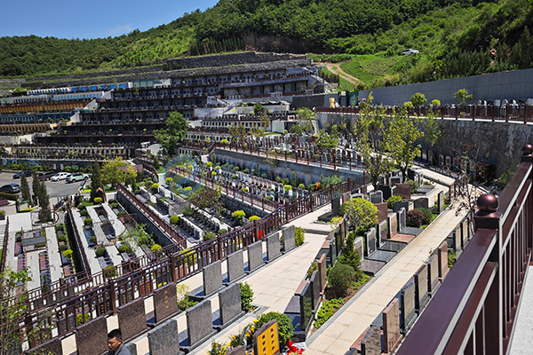 沈阳墓园选购墓地全攻略：2026清明节“额外”费用提前大揭晓！避坑+价格表+福利全解析