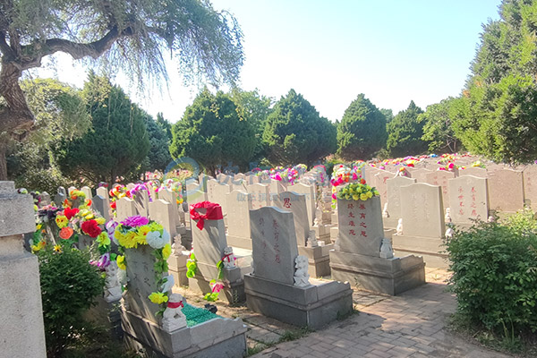 沈阳墓园选购墓地全攻略：2026清明节“额外”费用提前大揭晓！避坑+价格表+福利全解析