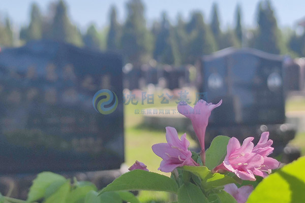 沈阳墓园选购墓地全攻略：2026清明节“额外”费用提前大揭晓！避坑+价格表+福利全解析