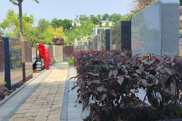 沈阳公墓选墓地全攻略：这些讲究和注意事项你必须知道！