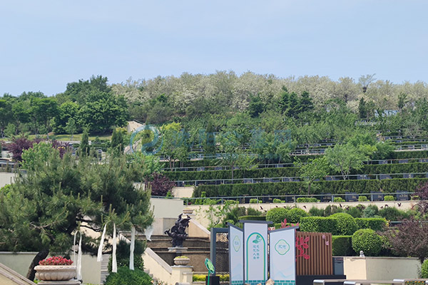 2026沈阳墓园选购干货指南：沈北合规陵园对比，工薪家庭高性价比墓园推荐！.jpg