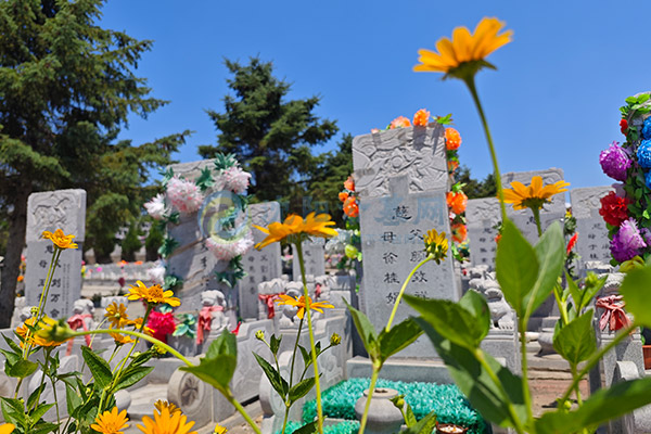 骏龙泉墓园 骏龙泉墓园