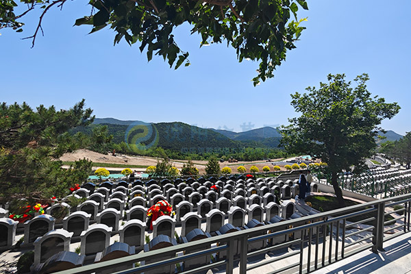 龙福山纪念园(沈北森林氧吧人气王) 龙福山纪念园(沈北森林氧吧人气王)